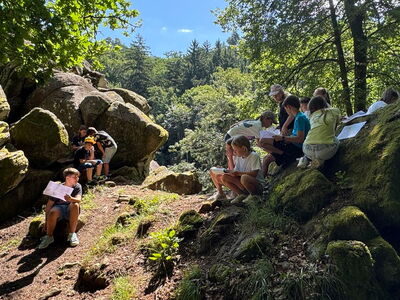 Schulkinder sitzen im Wald auf Felsen