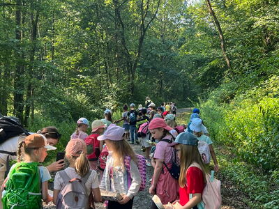 Eine Schulkasse wandert auf einem Waldweg