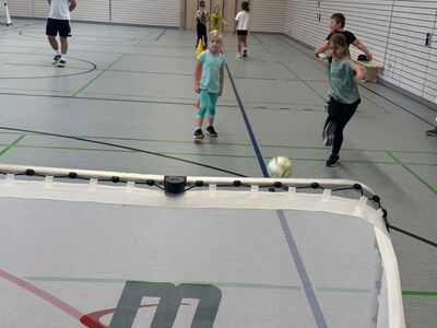 Ein Ball rollt in ein Tor