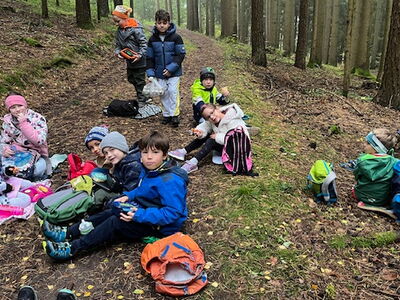 Gruppenfoto der Schulkinder auf einem Waldweg