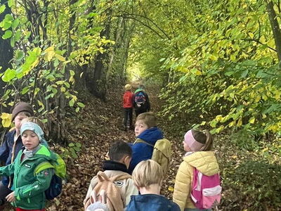 Schulkinder wandern auf einem Waldweg