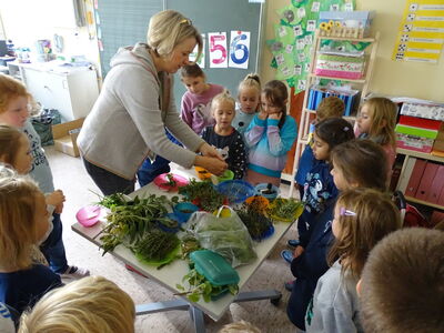 Besuch von Apothekerin Frau Leopoldi